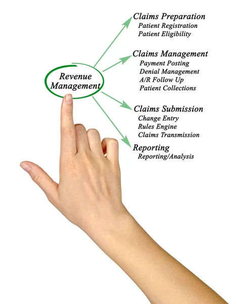 Components of Revenue  Management — Stock Photo, Image